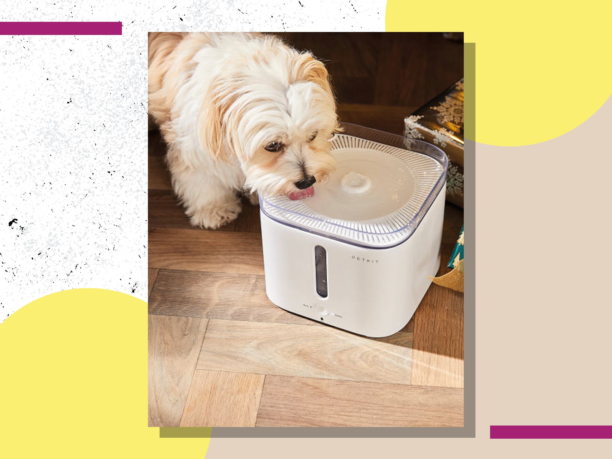 Pet water dispenser home hot sale bargains